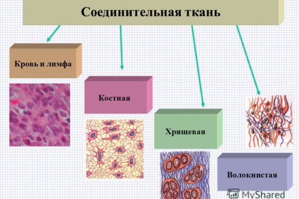 Кракен современный даркнет маркет плейс