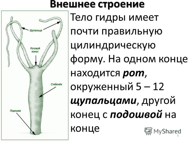 Ссылка кракен официальная тор